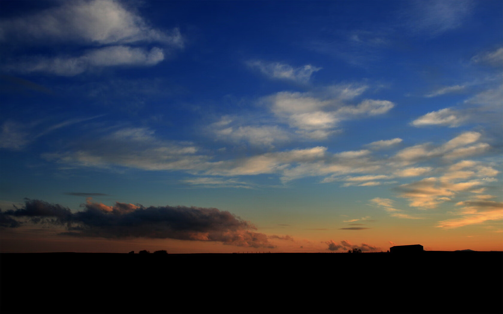 B体育中国官方平台-_猛龙展现坚韧，逆转战局成功_，猛龙岀击
