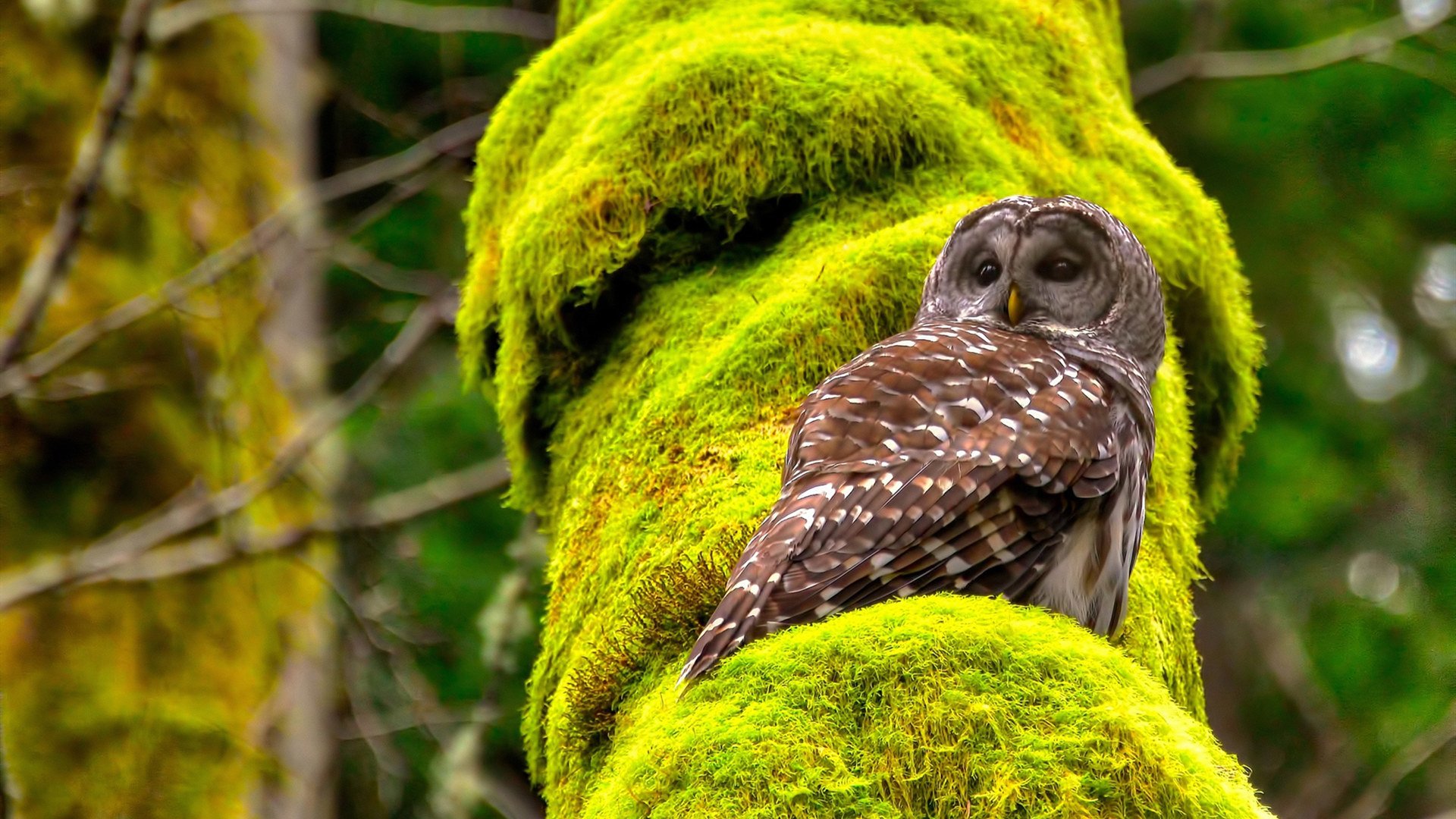 以“足球+生态文明”理念打造绿色青训新样板，青少年足球要营造一个好的大环境需要做到哪些方面