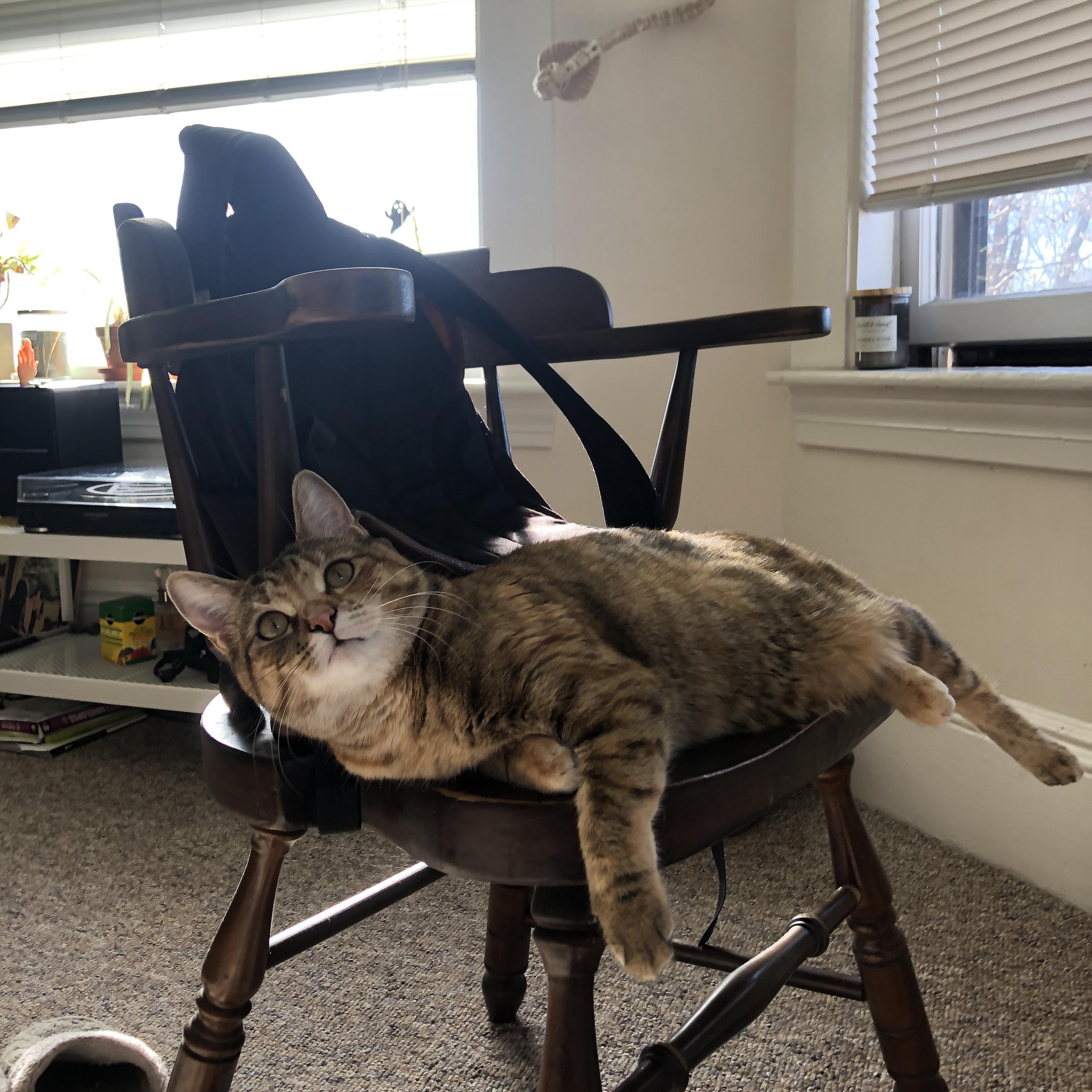 B体育在线登录入口-巴萨控球率高达75%，完全掌控比赛节奏，巴萨控球率达81%