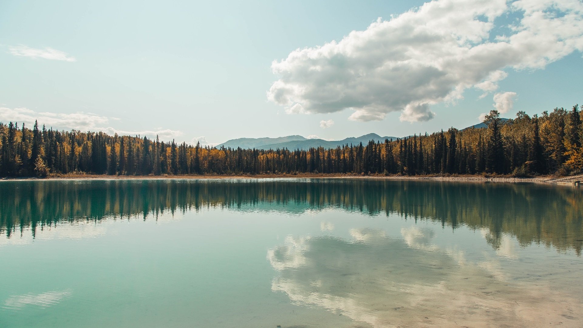 期待下一战：双方教练赛后都对比赛给予高度评价！，下一轮比赛