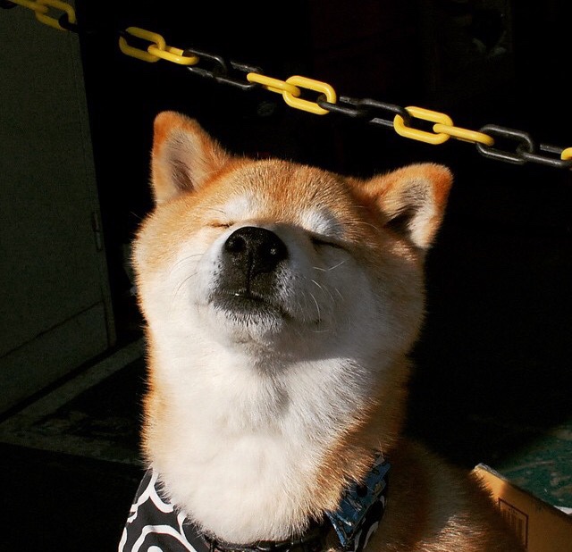 b体育入口-篮球明星效应推动赛事观众增长，明星篮球明星