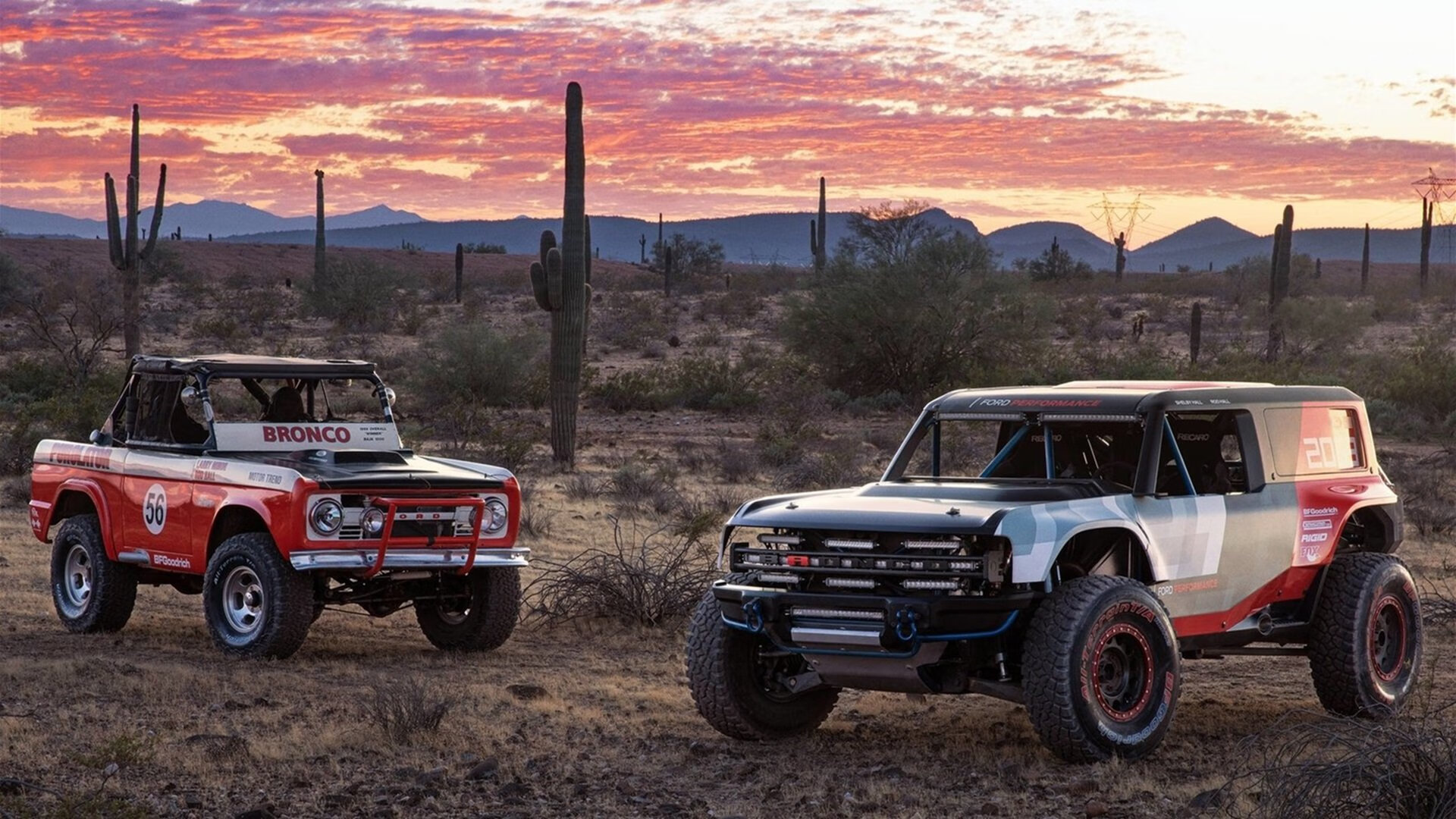 篮球明星退役后积极投身青训事业，打篮球退役的明星