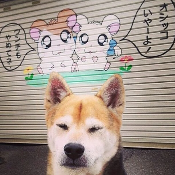 bsport-青少年足球场地建设“快跑”，标准化管理成为新趋势，全国青少年校园足球试点县(区)基本要求(试行)