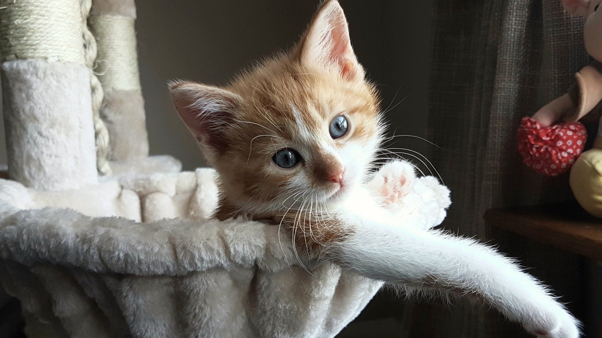 南安普顿中场球员出色发挥，球队取得胜利，南安普顿出的球星