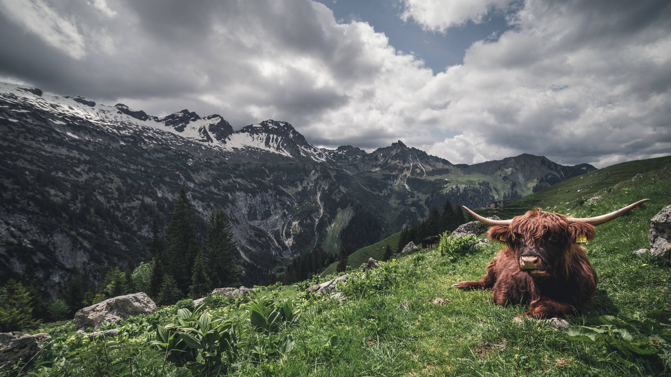 挪威队击败拉脱维亚，积分榜上升至第三，挪威球队最近比赛