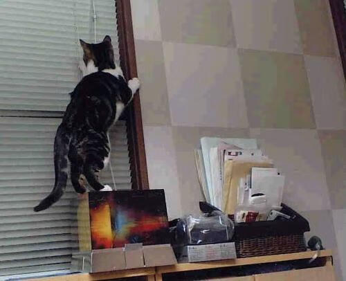 B体育(中国)官方网站-曼城主场-轻取伯恩茅斯，德布劳内梅开二度，曼城vs伯恩利动画直播