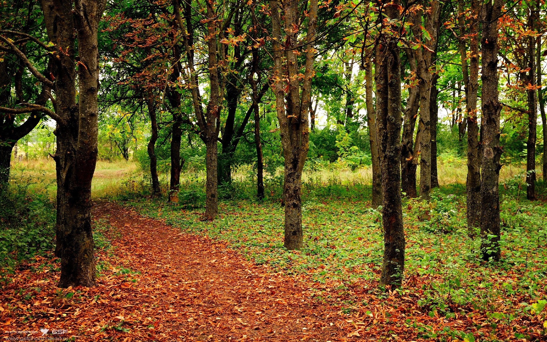 曼城主场3-1西汉姆，卫冕四连冠，曼城vs西汉姆