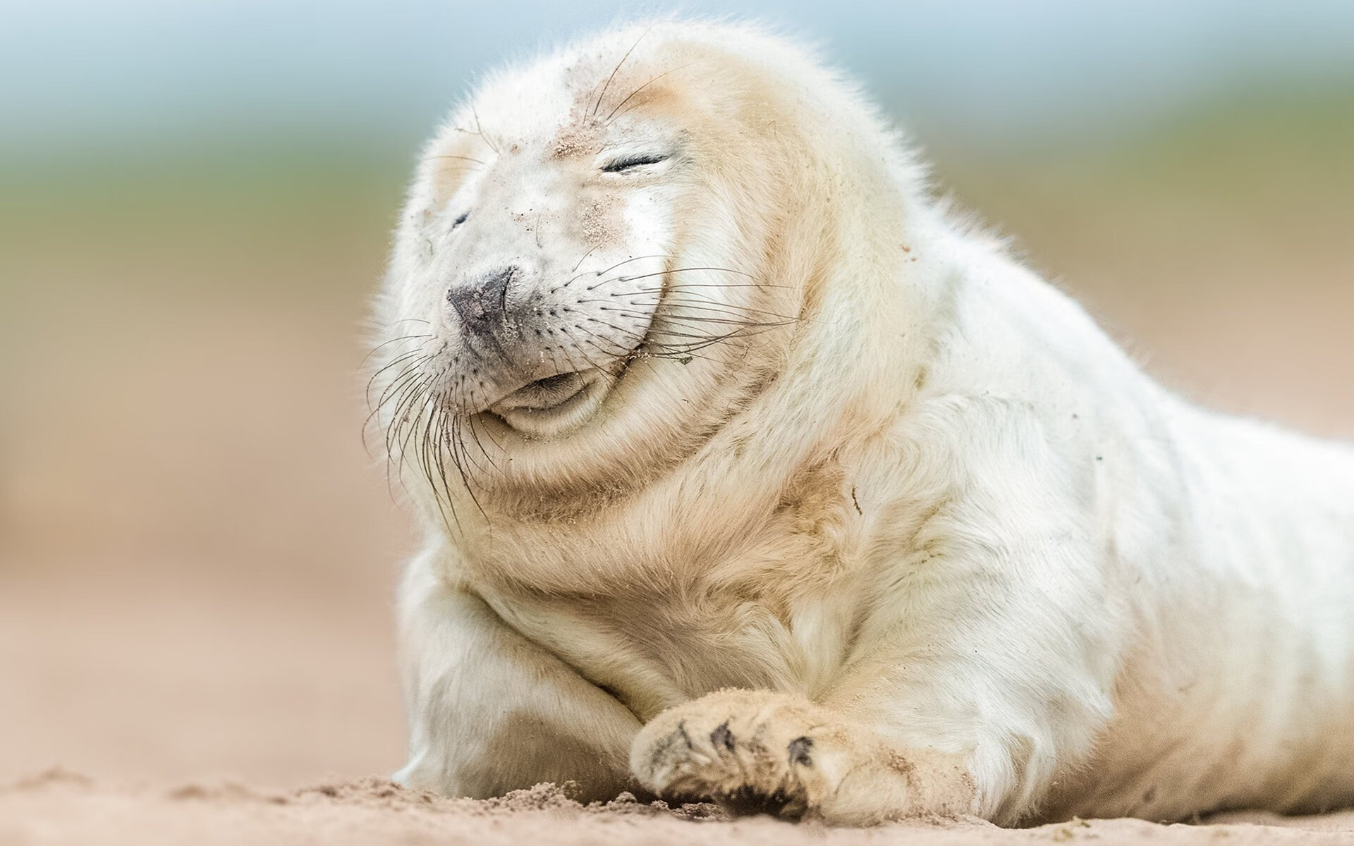 bsport-荷兰女足在预选赛中失去奥运资格，荷兰女足小组第一