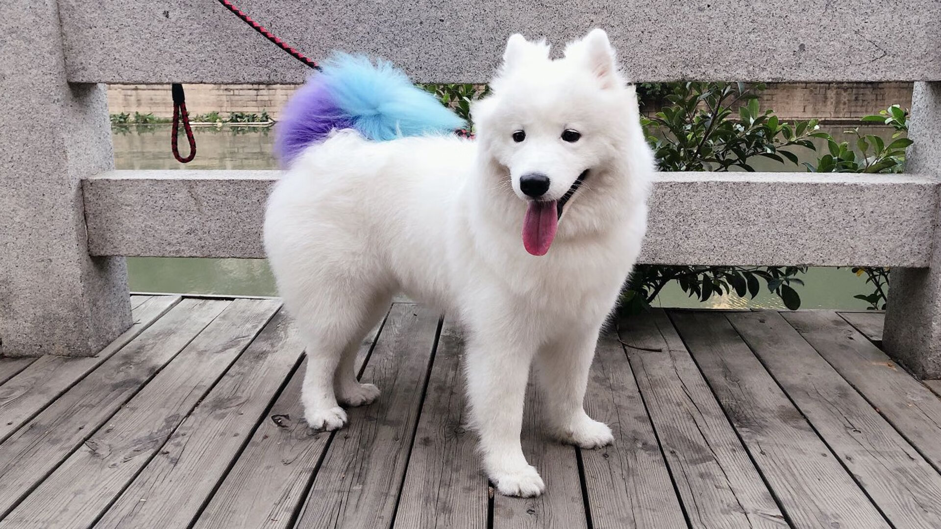 五大联赛“悬念迭起”排名变动：追逐冠军的激烈战况