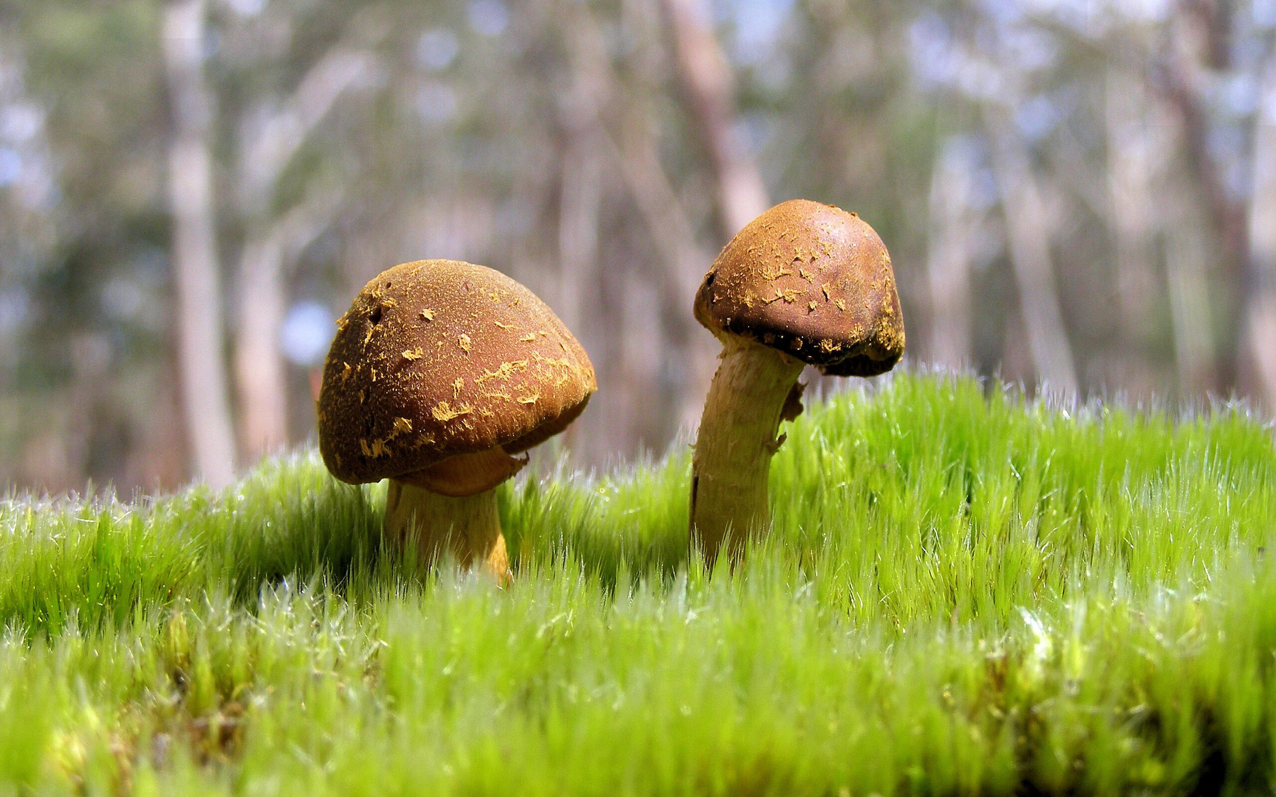 全国青少年航空模型竞赛精彩纷呈，激发青少年创新潜能，全国青少年航空航天模型竞赛规则