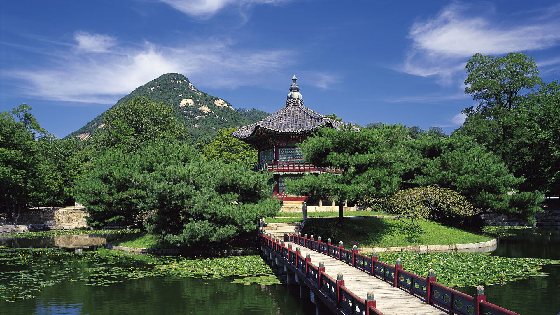 国足年度技术细节训练完成率统计,国足训练强度