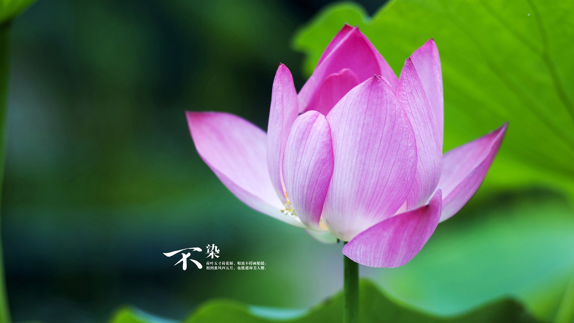 校园体育场馆智能维护与节能技术应用,校园体育场馆智能维护与节能技术应用实践报告