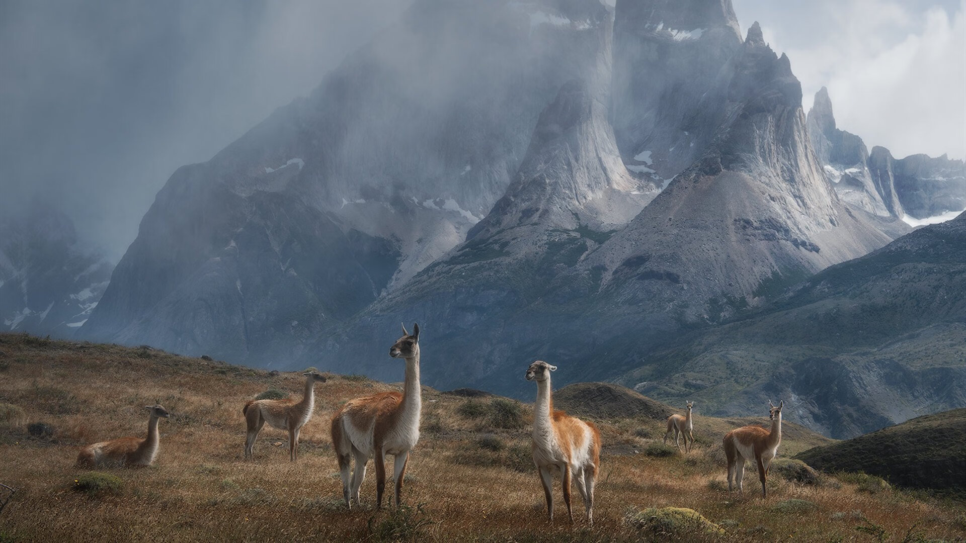 B体育APP下载网址-足球青训评价标准未与国际接轨，足球青训年龄分段标准