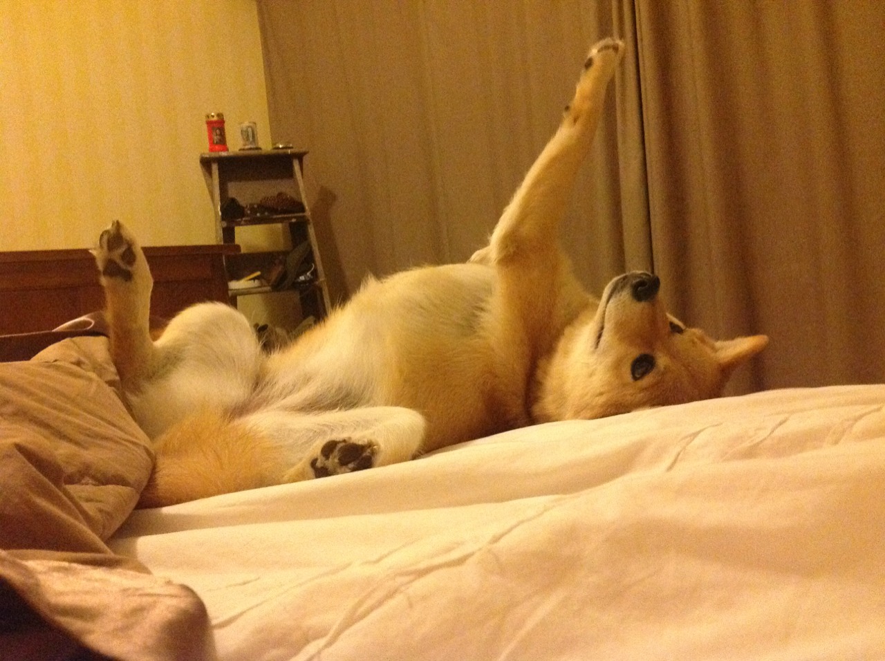 团队协作默契,双人跳表现突出,双人跳最好的组合是什么