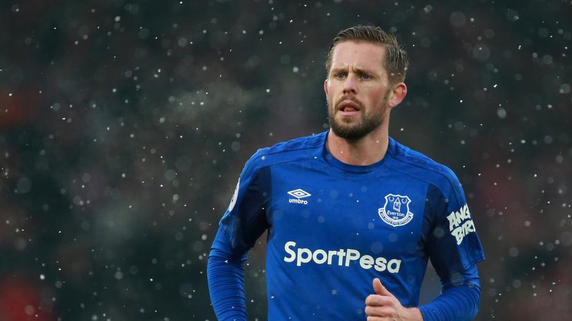 b体育入口-国王球迷自制纪录片上线引发共鸣，国王球队在哪个城市