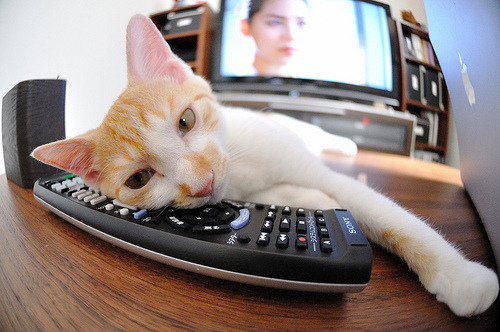 梅西助攻不断,带领阿根廷稳步前行