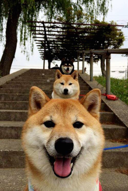 梅西带领阿根廷持续奋战,冲击世界杯梦想