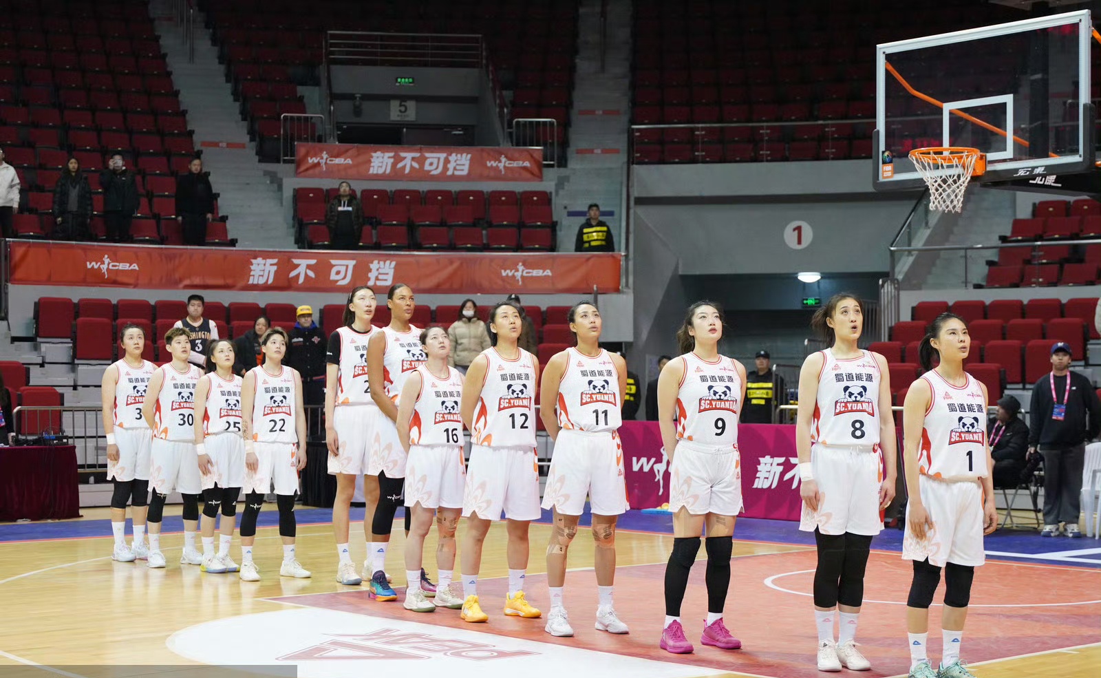 关于爱游戏体育：WCBA联赛，赛制改革是否真的能提升联赛的竞争力？的信息